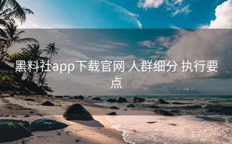 黑料社app下载官网 人群细分 执行要点