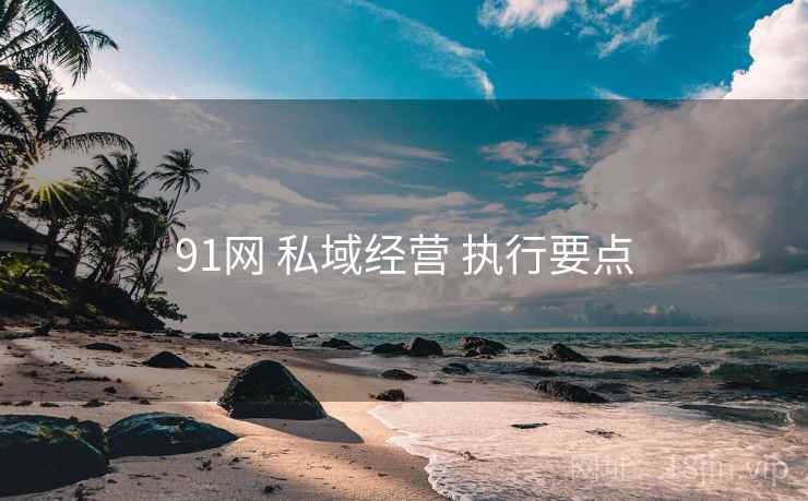 91网 私域经营 执行要点 91网 私域经营 执行要点