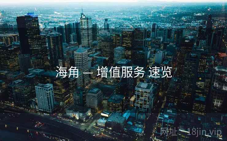 海角 — 增值服务 速览